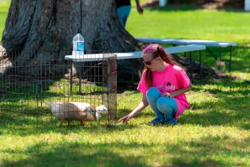 Petting-Zoo-2019-05-20-Chonya-Event-Photography-9-2-1920w